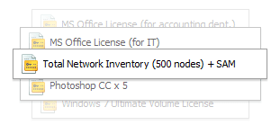 Software license auditing