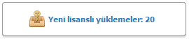 Lisans denetim istatistikleri